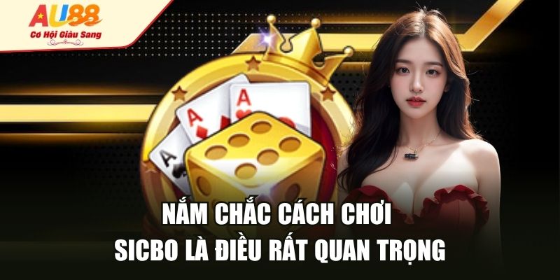 Nắm chắc cách chơi Sicbo là điều rất quan trọng
